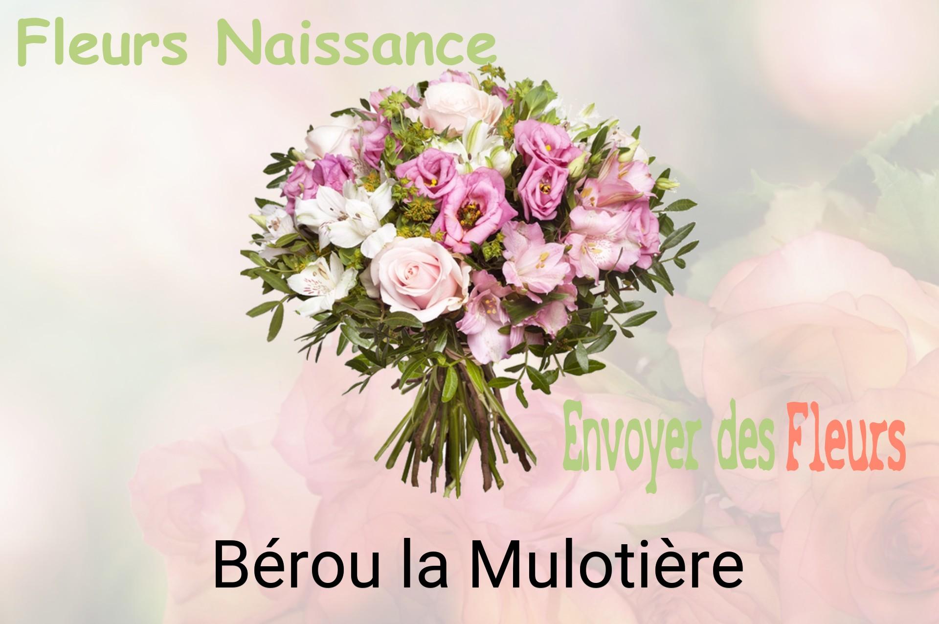 Bouquet de fleurs de naissance livré à Bérou-la-Mulotière